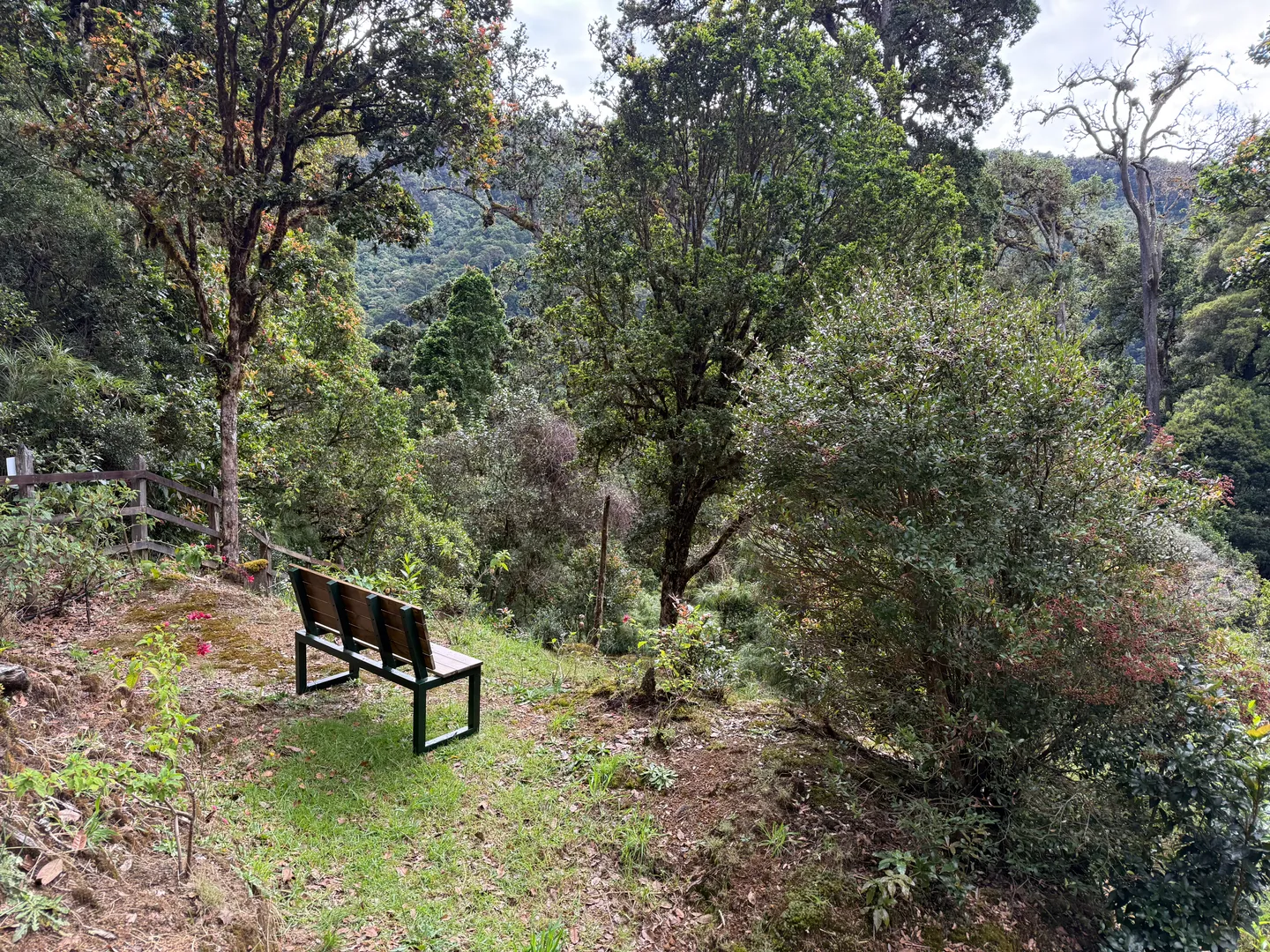 Garden Benches