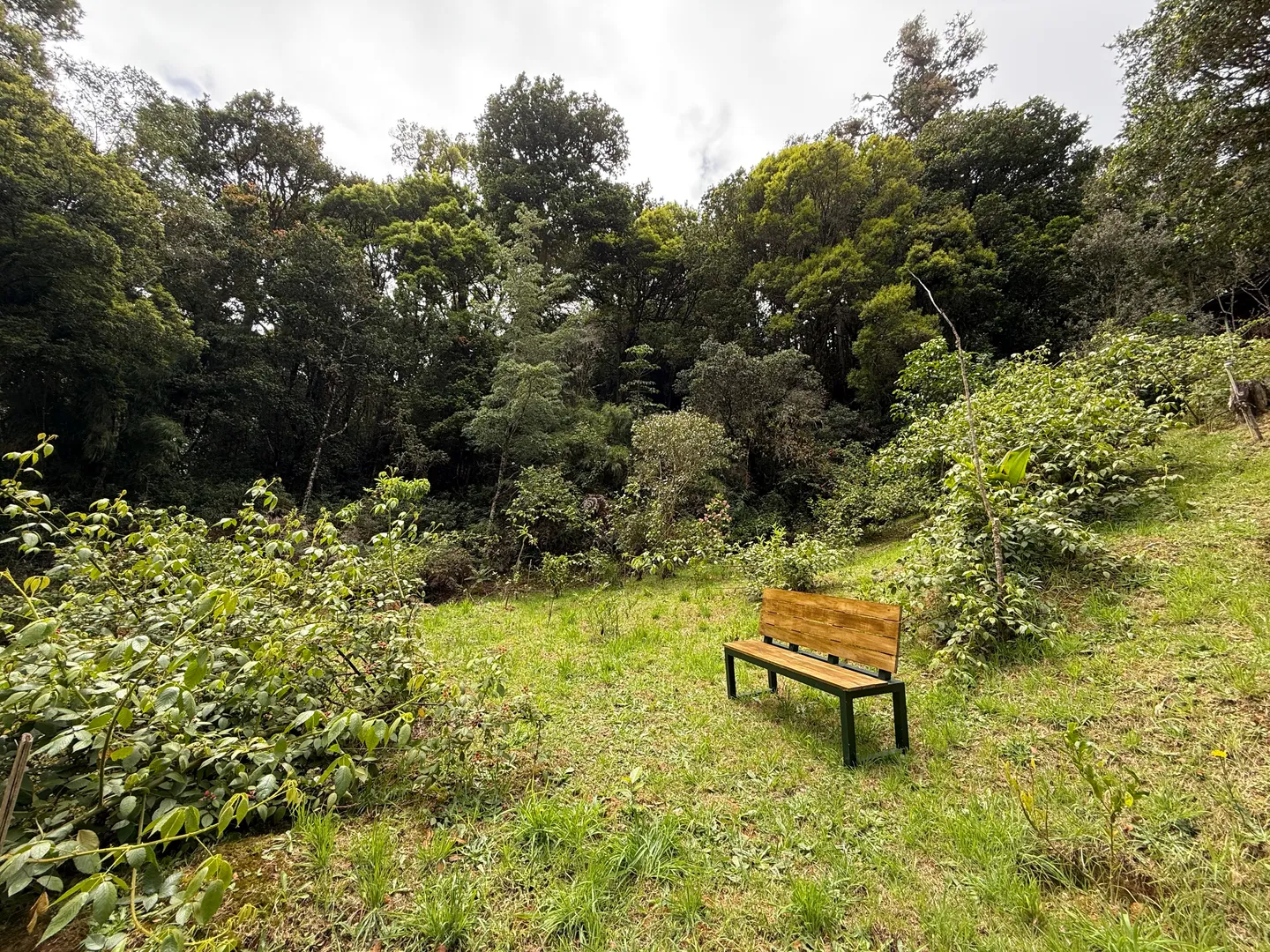 Garden Benches